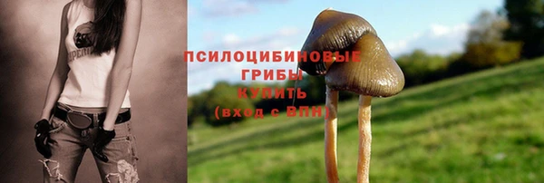 стафф Краснослободск