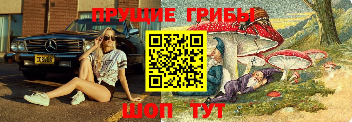 Галлюциногенные грибы ЛСД Бирск