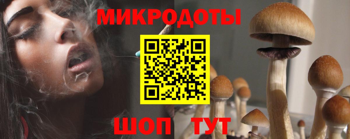 дарнет шоп  Галлюциногенные грибы GOLDEN TEACHER  Бирск  Вход с VPN  Псилоцибиновые грибы Cubensis 