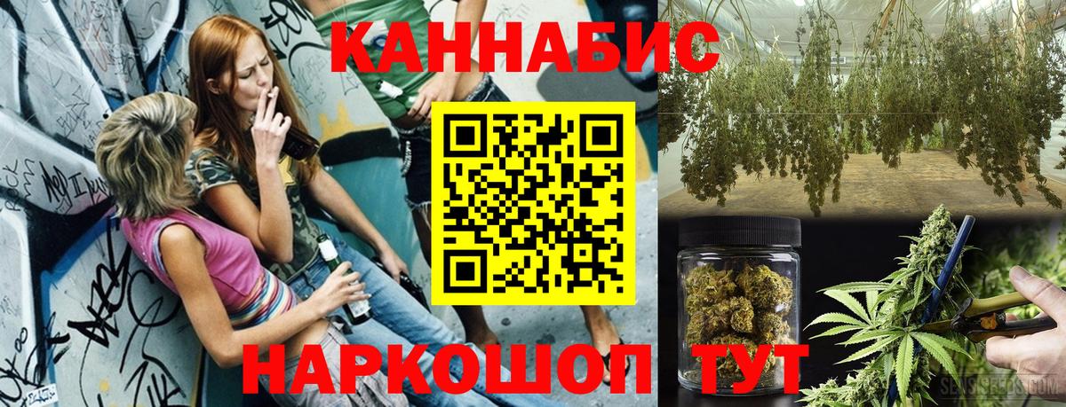 Каннабис сатива Бирск